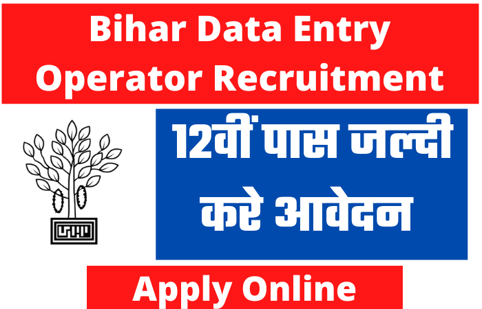 Bihar Data Entry Operator Recruitment 2022