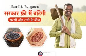 Government will distribute mustard and ragi seeds