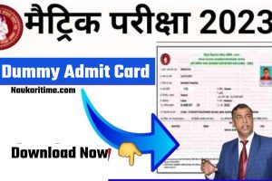 BSEB Dummy Admit Card 2023