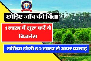 Business Idea - जॉब की चिंता छोड़िए , 1 लाख में शुरू करें ये बिजनेस, शर्तिया होगी 60 लाख से ऊपर कमाई