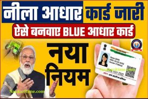 Blue Aadhar Card