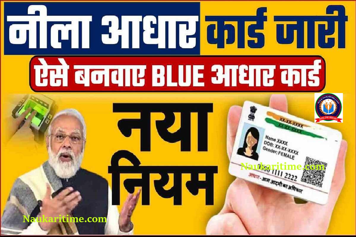 blue-aadhar-card