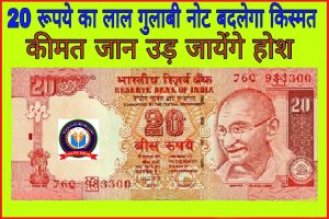 20 Rupees Old Note Sell