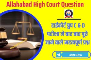 Allahabad High Court 2023