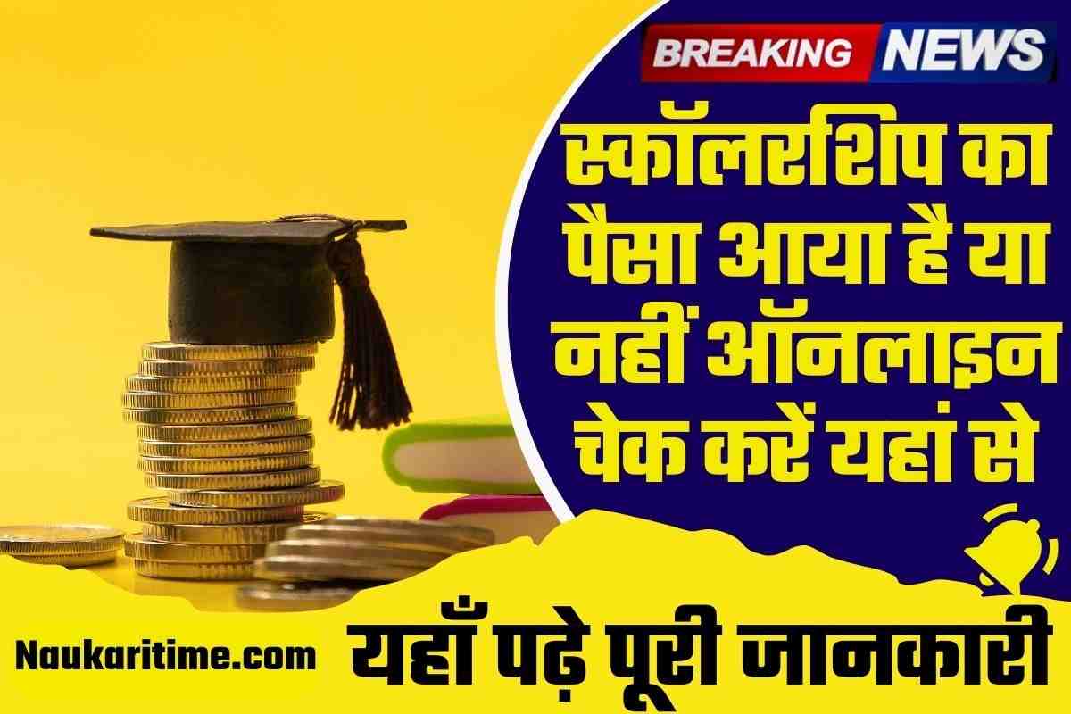 How To Check Scholarship Credit Status Online 2023 