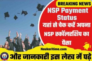 NSP Payment Status Check Online 2023