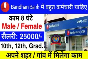 Bandhan Bank Data Operator 2023