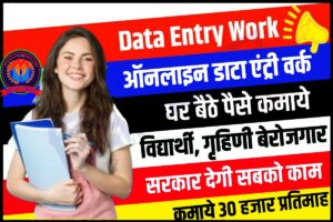 Data Entry Work From Home 2023