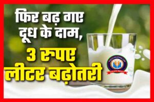 Milk Rate Today 2023