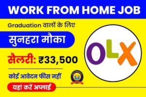 OLX Work From Home Job