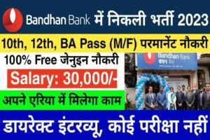 Bandhan Bank Data Operator