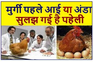 Pahle Anda Aaya Ya Murgi 2023