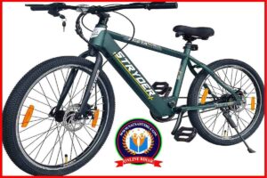 Tata Electric cycle