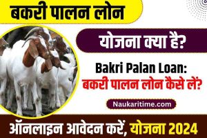 Bakri Palan Loan