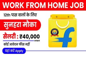 Flipkart Work From Home Job