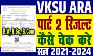 VKSU Part 2 Result 2021-2024