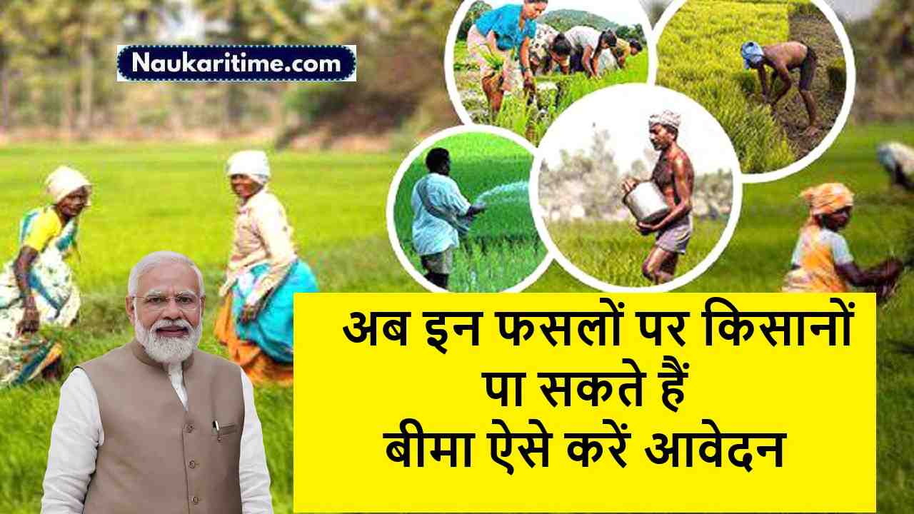 PMFBY : किसानों के लिए बड़ा ऐलान, अब इन फसलों पर किसान पा सकते हैं बीमा