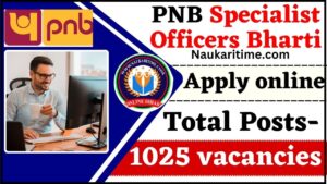 PNB Specialist Officers Recruitment 2024