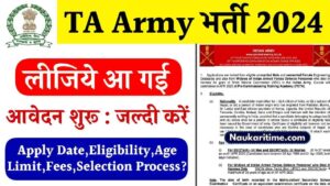 TA Army Bharti 2024