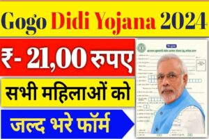 Gogo Didi Yojana Apply Online