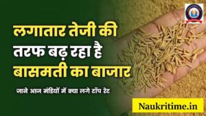 लगातार तेजी की तरफ बढ़ रहा है बासमती का बाजार,जाने आज मंडियों में क्या लगे टॉप रेट