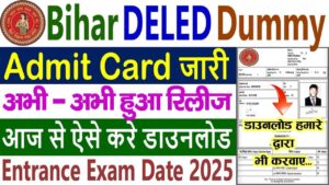BSEB Deled Dummy Admit Card 2025